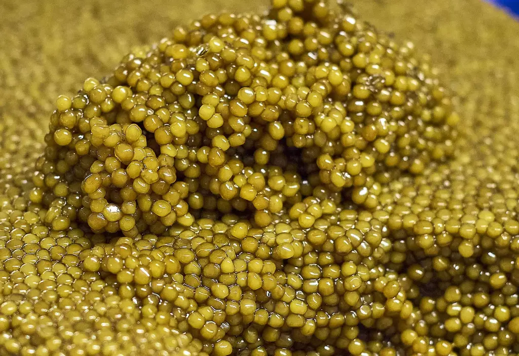 th_caviar_imperial_gold_20250625_59237_l.webp